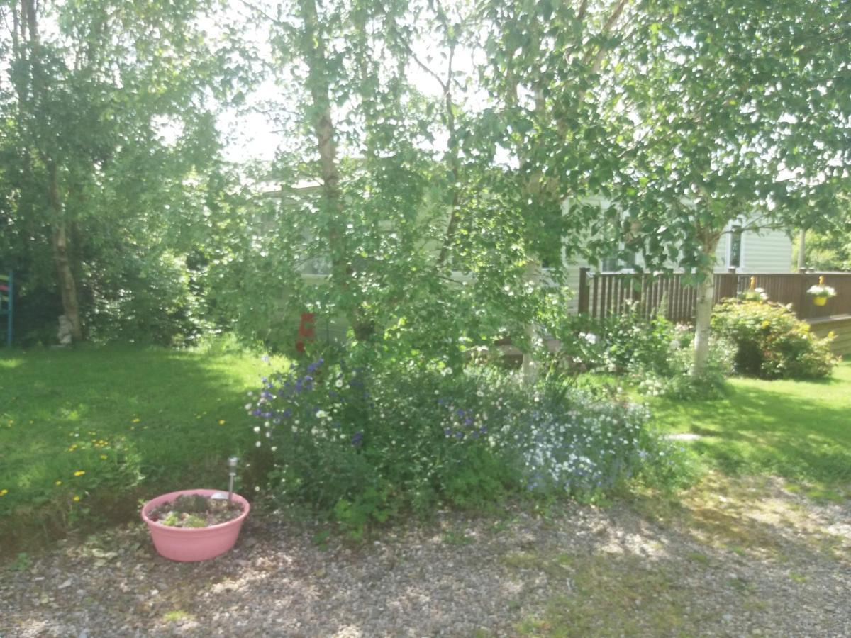 Hills View Accommadation Borrisoleigh Экстерьер фото